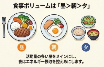 1日のボリューム配分